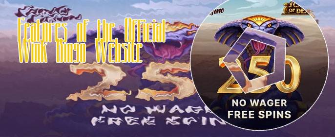 Wink slots promo code 30 free spins